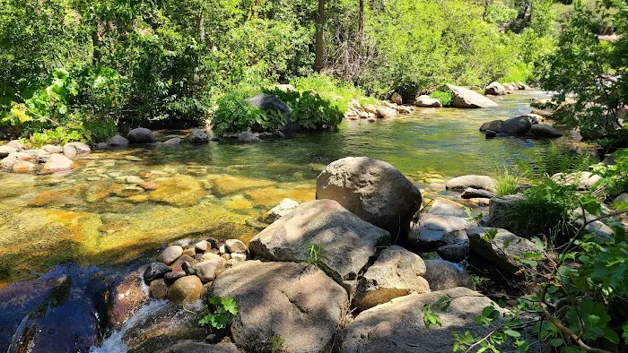 Middle Fork Cosumnes Campground Picture 7