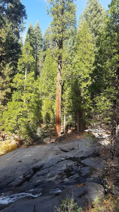 Middle Fork Cosumnes Campground Picture 9