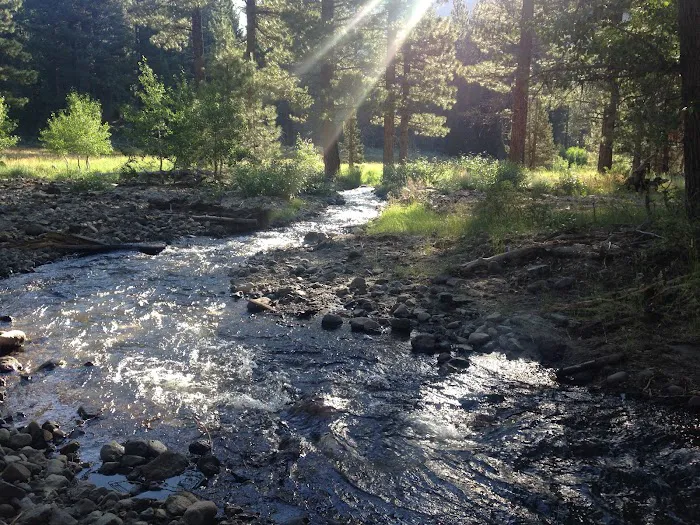 Wolf Creek Campground Picture 9