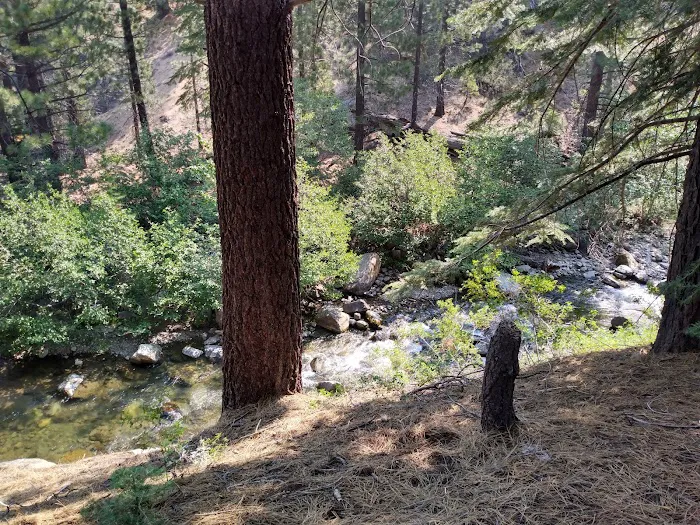 Wolf Creek Campground Picture 7