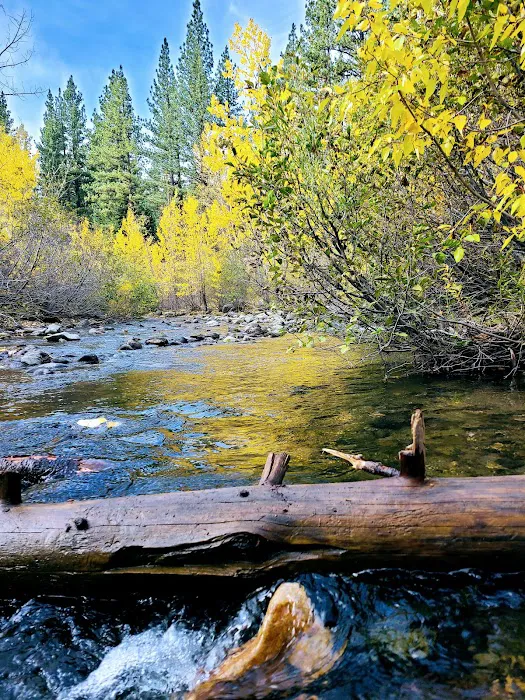 Wolf Creek Campground Picture 1