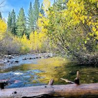 Wolf Creek Campground ico
