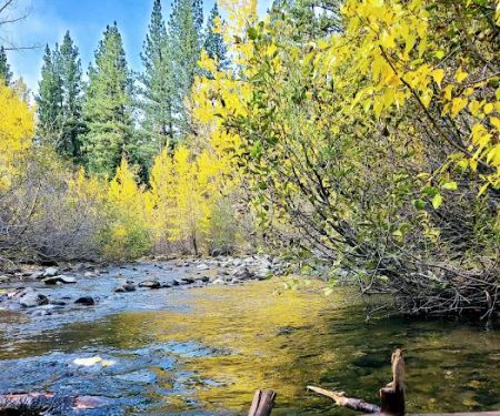 Wolf Creek Campground