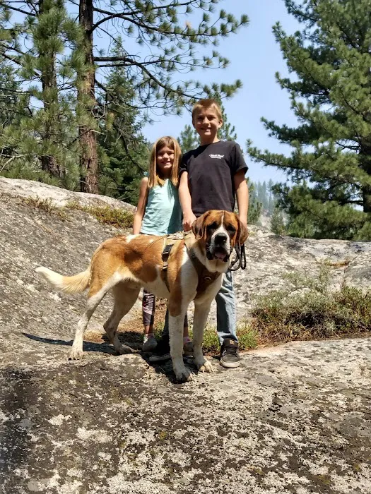 Wolf Creek Campground Picture 4