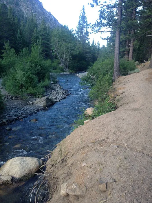 Wolf Creek Campground Picture 6