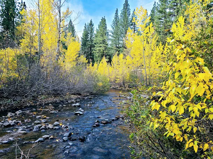 Wolf Creek Campground Picture 2