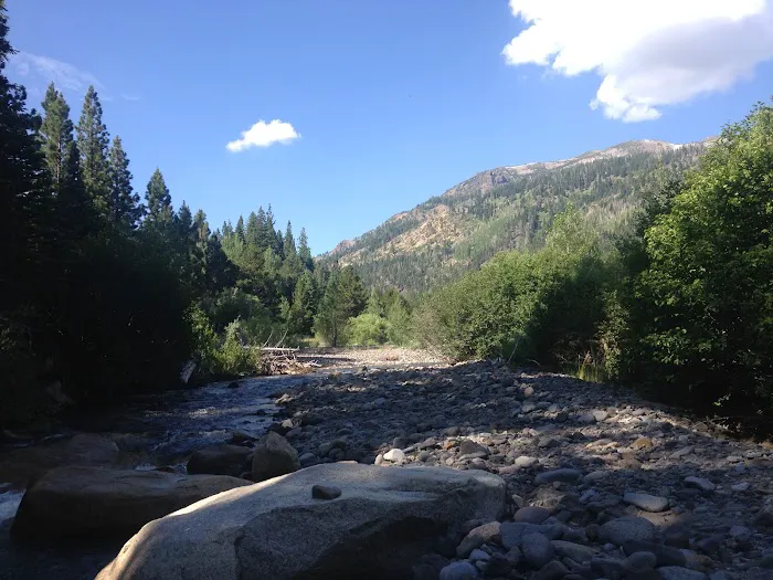 Wolf Creek Campground Picture 8