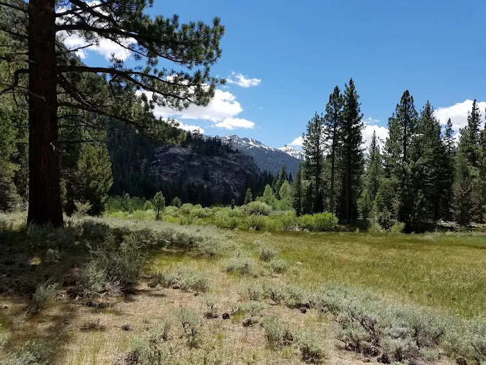 Wolf Creek Campground Picture 5