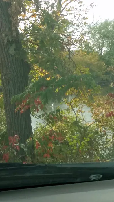 Hazleton Mobile Home Park Picture 5