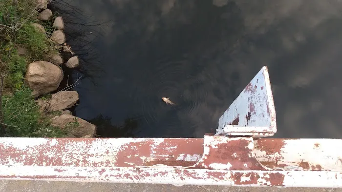 Hazleton Mobile Home Park Picture 3