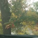 Hazleton Mobile Home Park