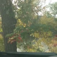 Hazleton Mobile Home Park ico