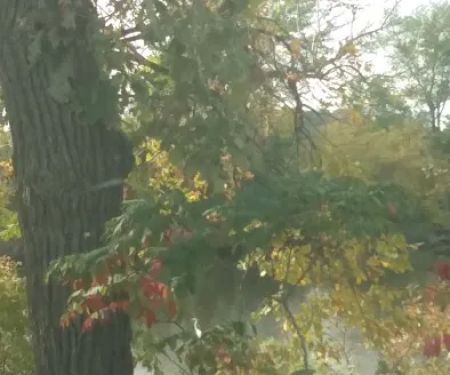 Hazleton Mobile Home Park