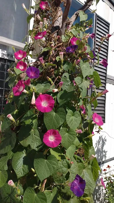 Hazleton Mobile Home Park Picture 4