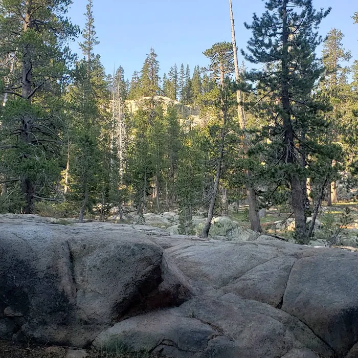 Bloomfield Campground Picture 3