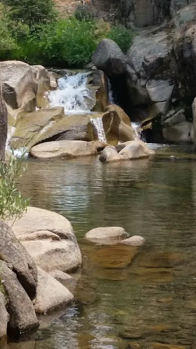 Bloomfield Campground Picture 2