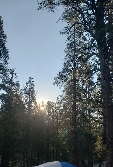 Bloomfield Campground Picture 1
