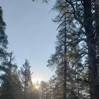Bloomfield Campground ico