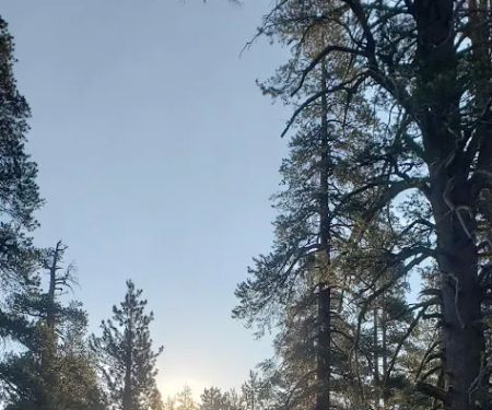 Bloomfield Campground