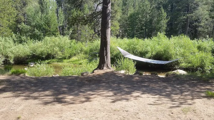 Bloomfield Campground Picture 5