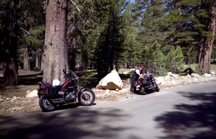 Bloomfield Campground Picture 4