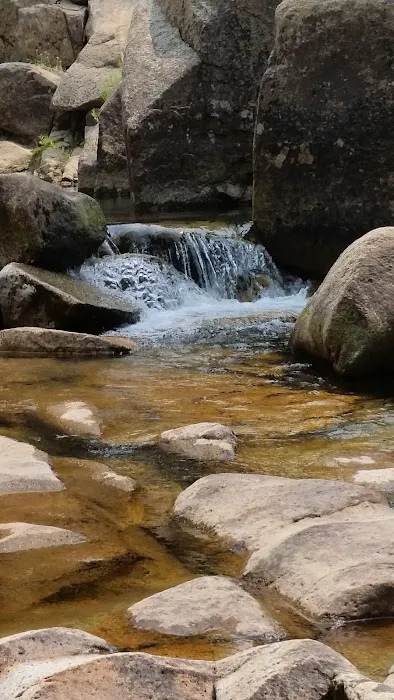 Bloomfield Campground Picture 8