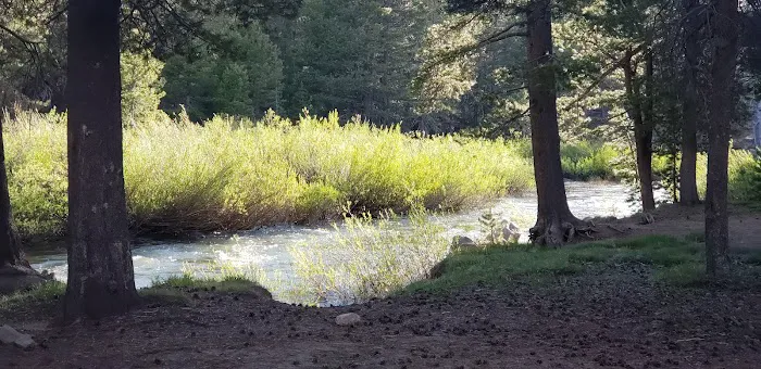 Bloomfield Campground Picture 6