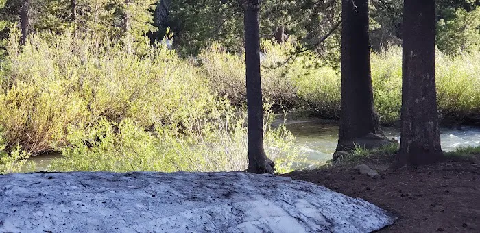 Bloomfield Campground Picture 7