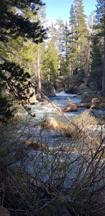 Bloomfield Campground Picture 9