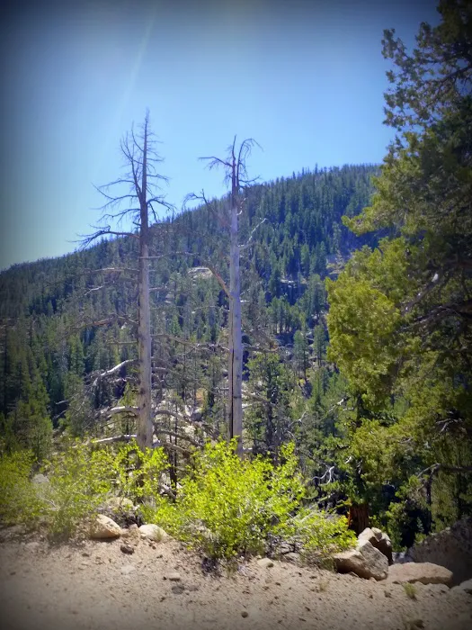 Hermit Valley Campground Picture 10