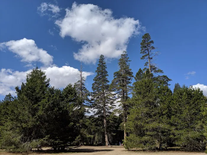 Hermit Valley Campground Picture 4