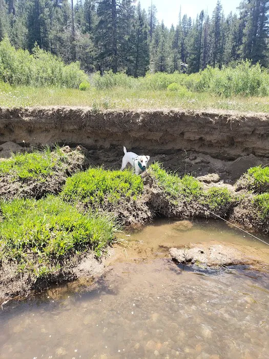 Hermit Valley Campground Picture 9