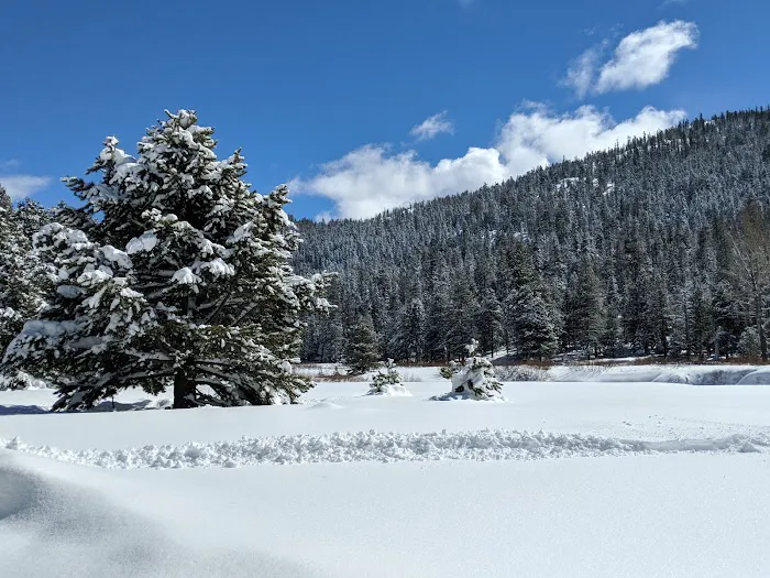 Hermit Valley Campground Picture 2