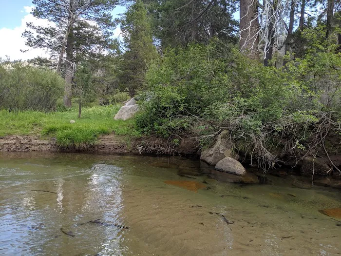 Hermit Valley Campground Picture 1