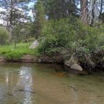 Hermit Valley Campground