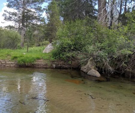 Hermit Valley Campground