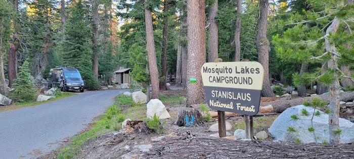 Mosquito Lakes Campground Picture 8