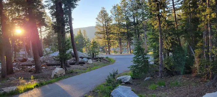Mosquito Lakes Campground Picture 5
