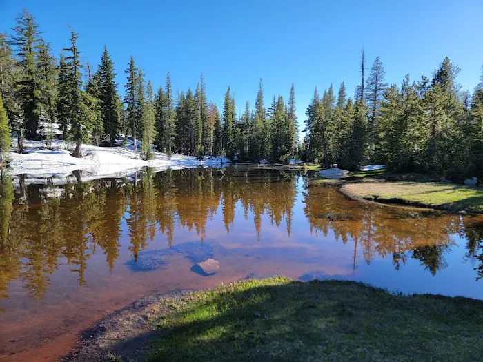 Mosquito Lakes Campground Picture 1