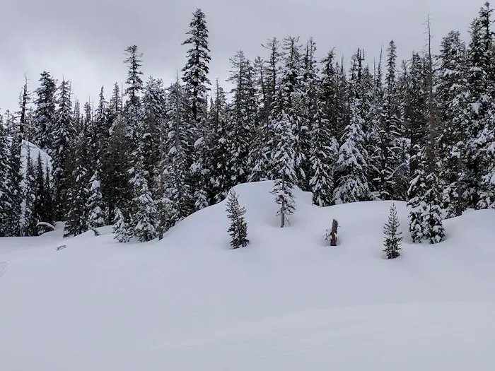 Mosquito Lakes Campground Picture 9