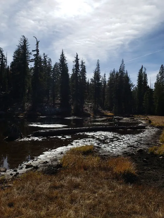 Mosquito Lakes Campground Picture 3