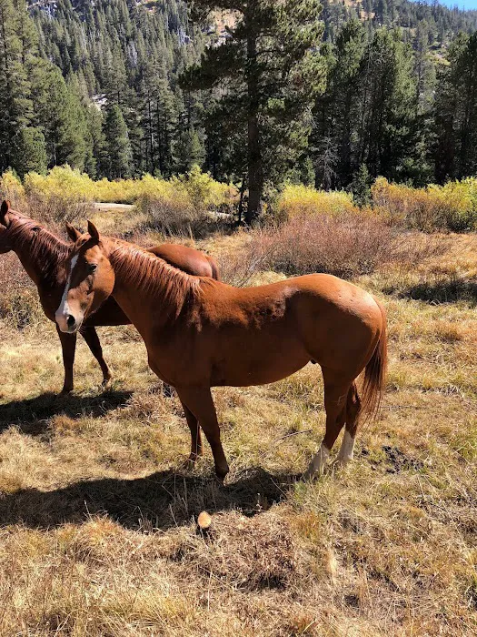 Pacific Valley Campground Picture 1