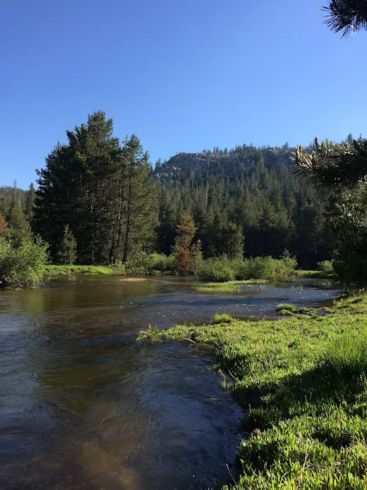 Pacific Valley Campground Picture 3