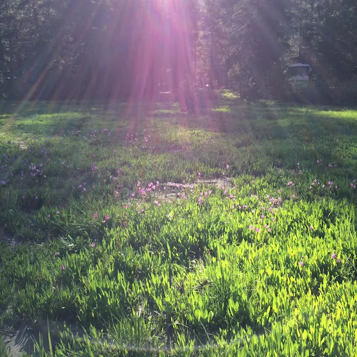 Pacific Valley Campground Picture 4