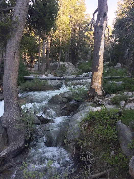 Pacific Valley Campground Picture 6