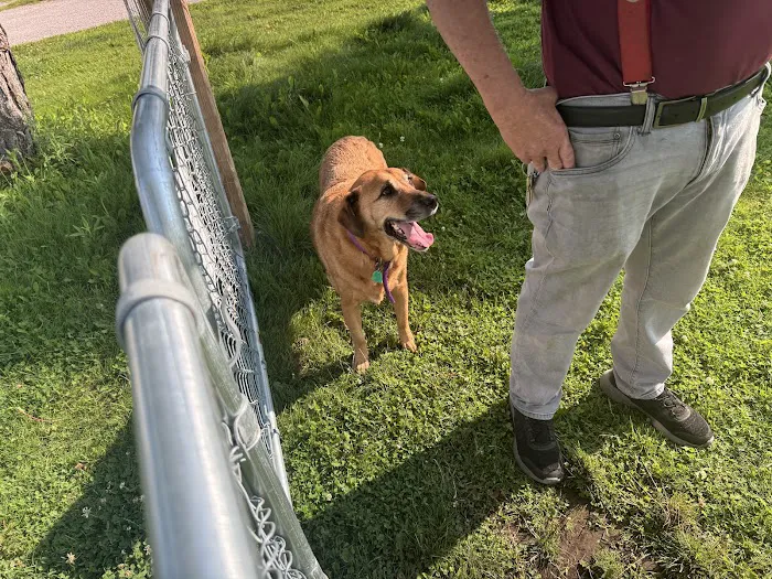 Beyonder Getaway at Lazy Acres RV Park Picture 2