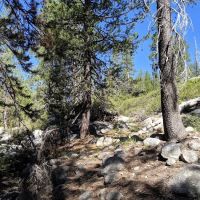 Backpackers Campground ico