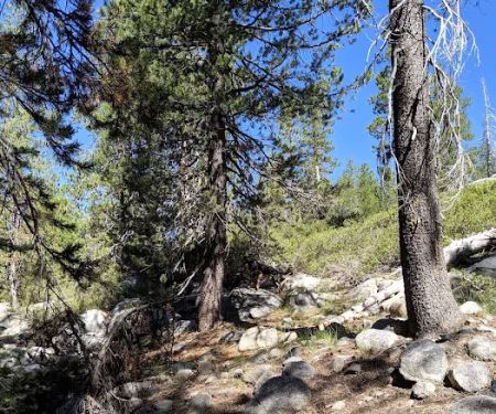 Backpackers Campground