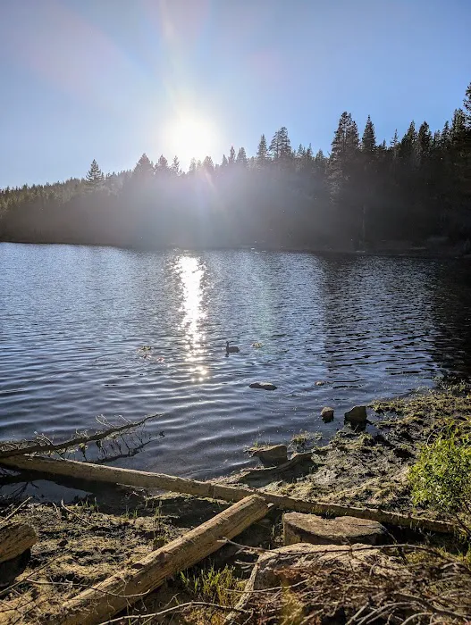 Pine Marten Campground Picture 1