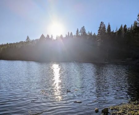 Pine Marten Campground